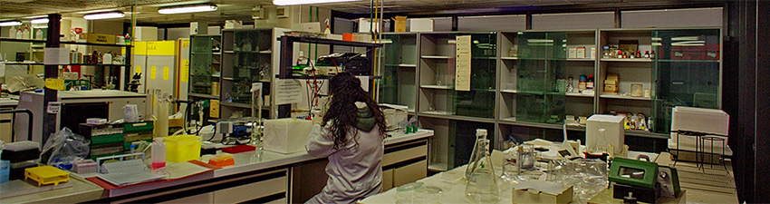 Facoltà di Medicina e Chirurgia - laboratori