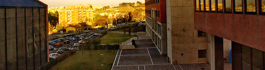 Area di Torrette